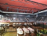 Restaurace Žižkův Vrch