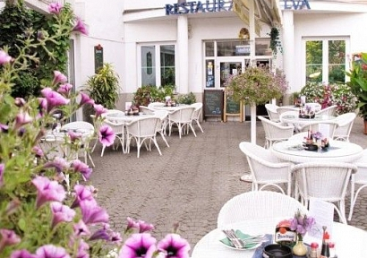Restaurace U Lva