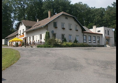 Motorest Šedivec