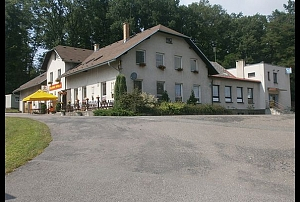 Motorest Šedivec