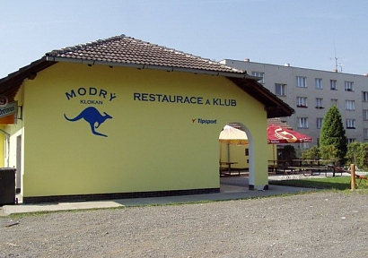 Modrý klokan