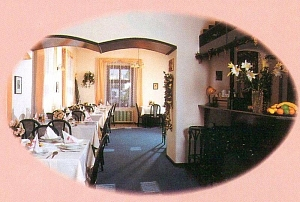 Hotel Český dům