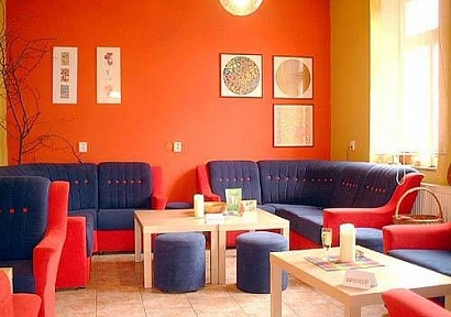 Cactus restaurace