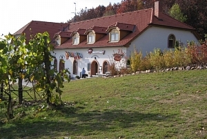 Vinařské a kulturní centrum Sádek